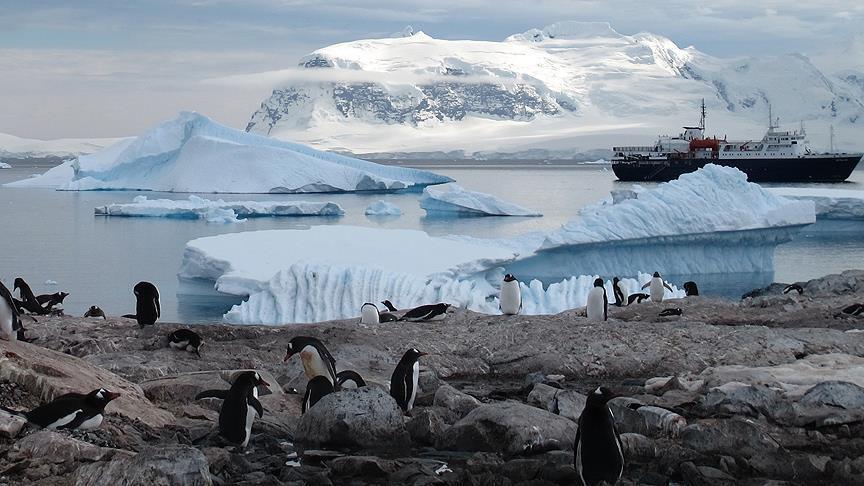 281 % نسبة الزيادة السنوية لذوبان الجليد في أنتاركتيكا