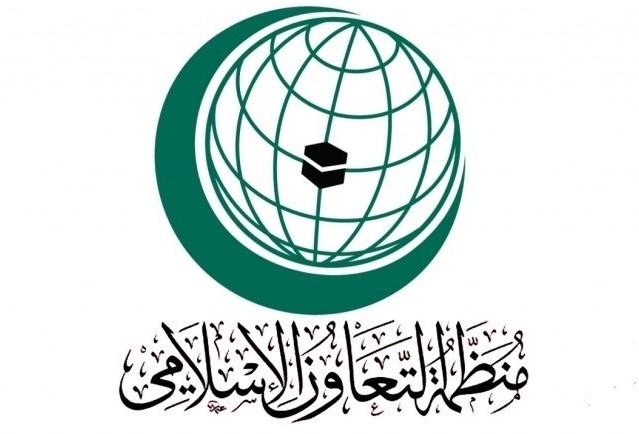 "إنسان العالمية المفتوحة".. أول جامعة متخصصة بالعمل الإنساني في العالم الإسلامي