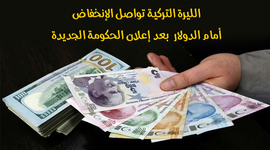 الليرة التركية تواصل الإنخفاض أمام الدولار  بعد إعلان الحكومة الجديدة