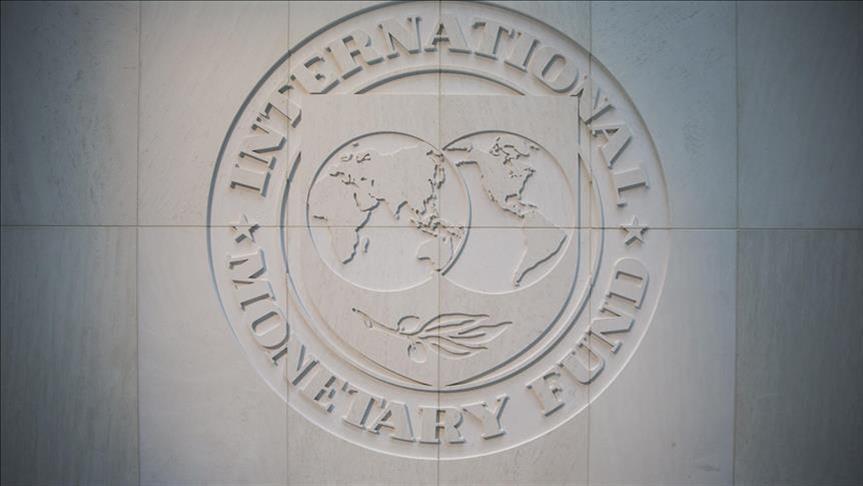 النقد الدولي يشيد بخفض "المركزي المصري" لسعر الفائدة