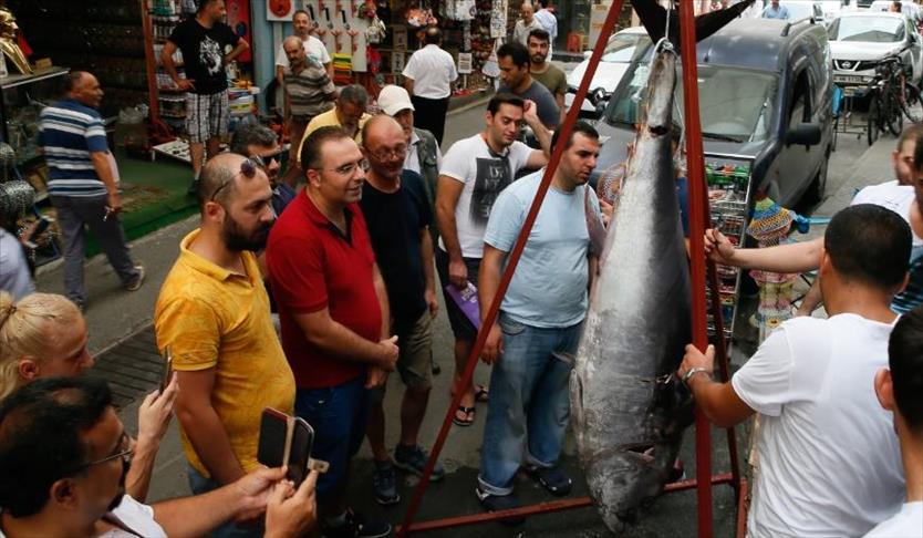 تركي يصيد بصنارته سمكة تونة طولها مترين