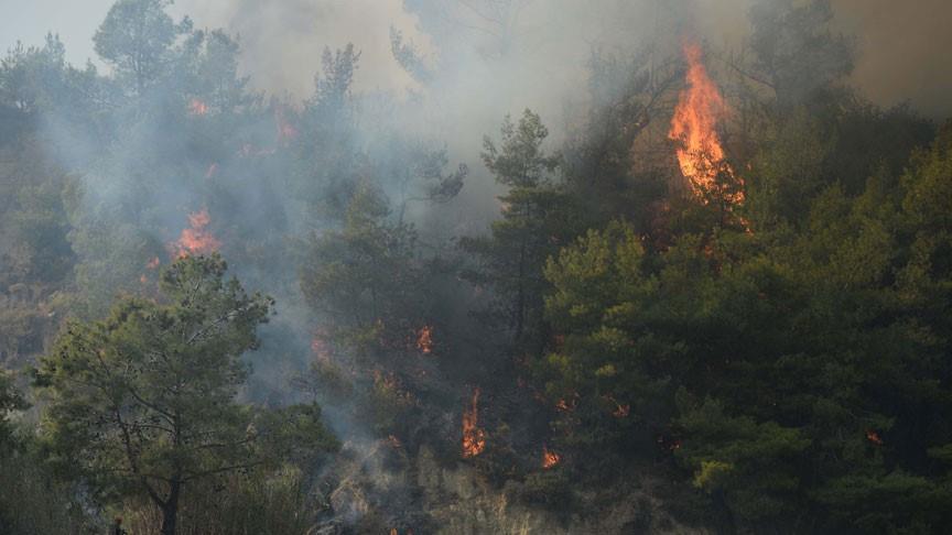 حرائق الغابات تشرد الألاف في اليونان