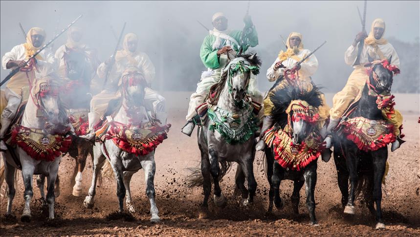 خيول المغرب تتنافس في 