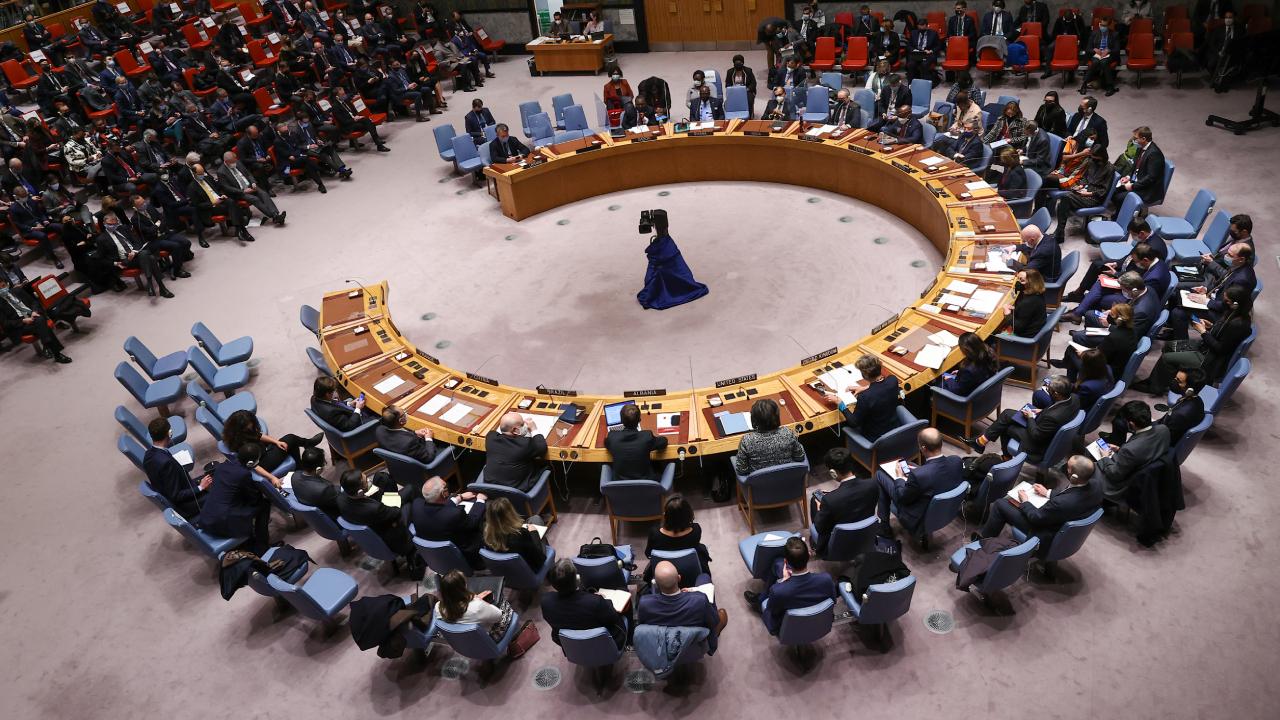 عضوية فلسطين في الأمم المتحدة سيتم التصويت عليها في مجلس الأمن الدولي