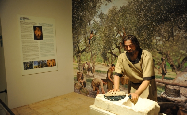 متحف عنتاب التركية.. يختزل تاريخ البشرية